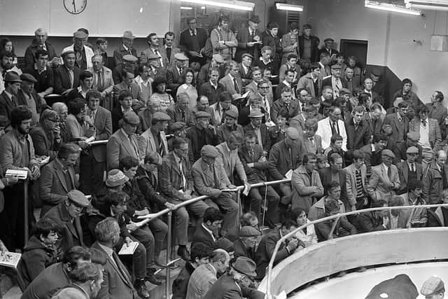 A section of the crowded sale ring during the auction of multi-breed pedigree beef cattle at Belfast Autumn Fair at Allam’s Mart, Belfast, in October 1982. Picture: Farming Life/News Letter archives