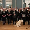 The Farmers’ Choir Northern Ireland are busy preparing for their annual Christmas Concert which will be held on Thursday 14th December at 8pm in Ballymena Academy. Picture: Submitted