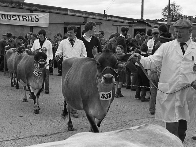 This collection of old photos is from 1981.