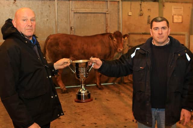 First place in the bullock class and overall champion at the Hilltown mart's spring show and sale on Saturday 22nd April went to Thomas McEvoy, he is pictured with Alan McKee. The sale saw fat cows sell to £2200, heifers to £2000 and bullocks to £2200