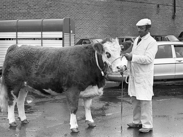 This collection of old photos is from 1981.