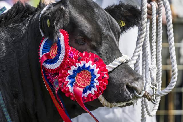 Turriff Show has an impressive number of exhibitor entries lined up for the whopping 1,500 plus classes taking place on Sunday 2 and Monday 3 August.