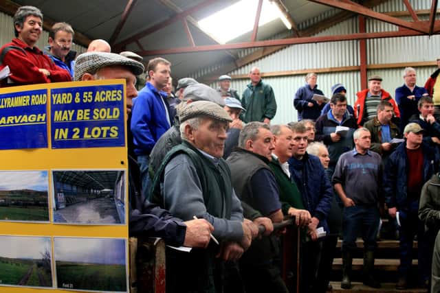 A packed sale ring for a show and sale of Ayrshires at Kilrea Mart in September 2008. Picture: Kevin McAuley