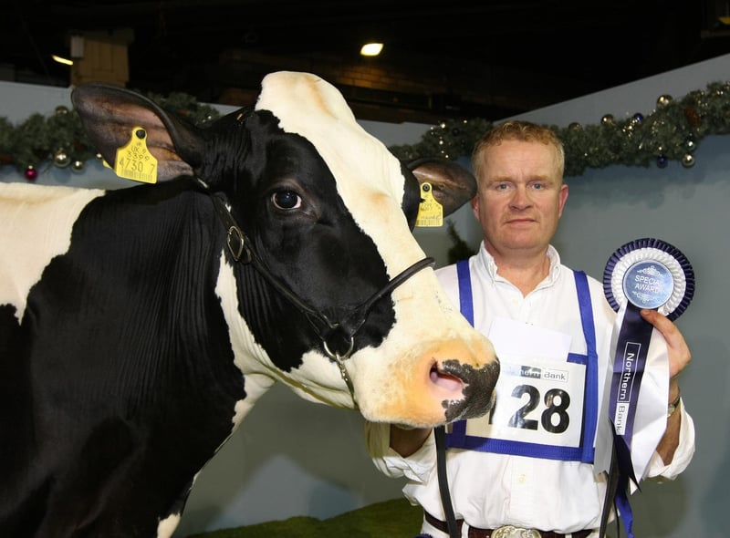 Show time at the Winter Fair for Denis O'Neill with Sam McCormick's winning cow in milk at the King's Hall. Picture by Bernie Brown