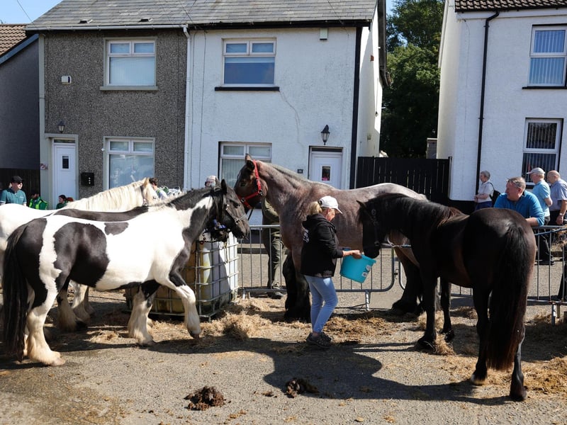 Annual Ould Lammas Fair is held in Ballycastle, Co. Antrim.