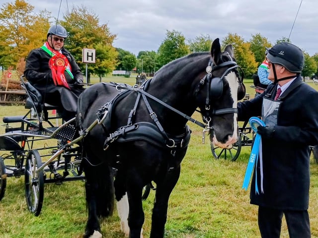 Philip Stranney Novice Pony  Champion