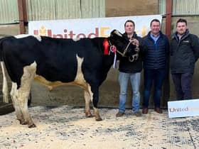 Supreme champion at Holstein NIO’s December bull sale at Kilrea was Inch Jest exhibited by James Cleland, Downpatrick. Included are judge David McNaugher, Aghadowey; and sponsor Peter Speir, United Feeds. 