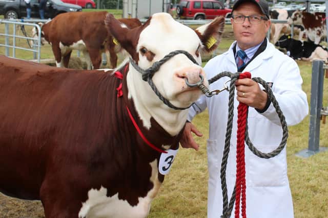 Robert Murdock, from Newry with the Hereford heifer class winner at this year's Castlewellan Show. Picture: Richard Halleron