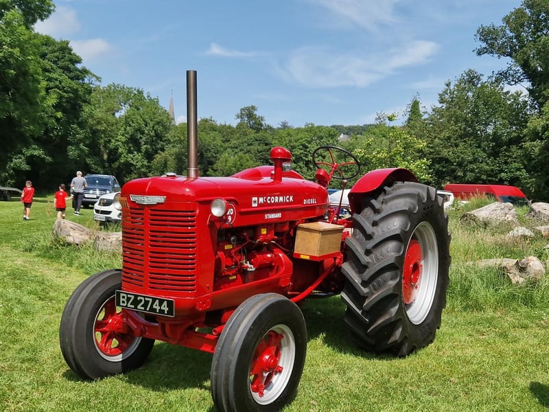 One of the vehicles at this year's Kilbroney Vintage Show which was held at Kilbroney Forest Park, Rostrevor. Picture: Darryl Armitage