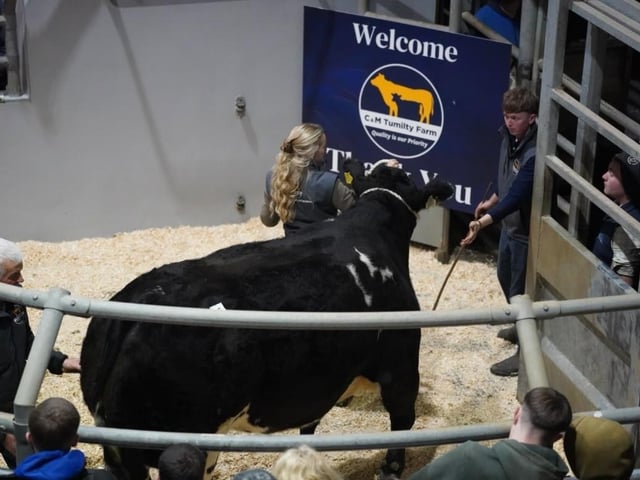 Lot 26 selling for £15600