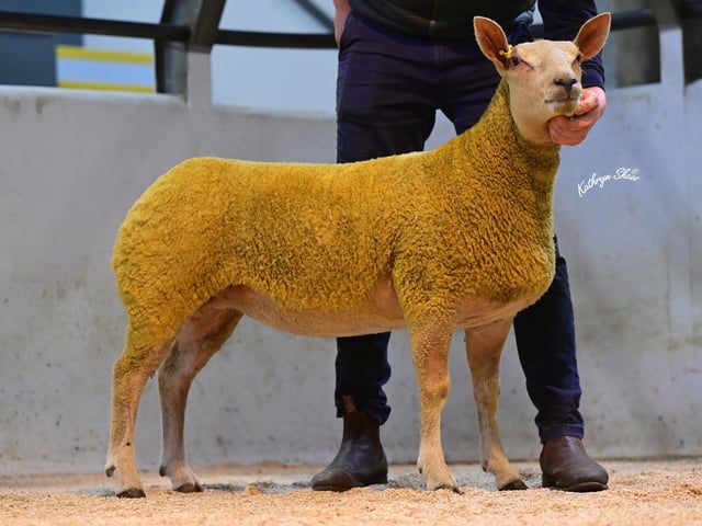 Lot 65 selling to K Gallen for 2,000gns