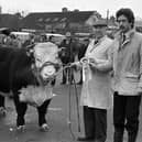 Pictured in January 1983 is Trevor Simpson from Ballyclare with his supreme champion Hereford bull at the breed show and sale at Omagh. On the right is Mr Mervyn Kinloch of the Livestock Marketing Commission, who supervised the weighing and measuring of the bulls and also presented the championship rosettes. Picture: Farming Life/News Letter archives