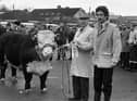 Pictured in January 1983 is Trevor Simpson from Ballyclare with his supreme champion Hereford bull at the breed show and sale at Omagh. On the right is Mr Mervyn Kinloch of the Livestock Marketing Commission, who supervised the weighing and measuring of the bulls and also presented the championship rosettes. Picture: Farming Life/News Letter archives