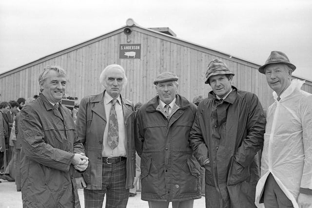 Examining the new breed of Duroc pigs on the farm of Mr Stanley Anderson, Tullyconnell, Cookstown, Co Tyrone, in April 1982, are Mr Jim Hoy, Richard Jordan, Ashley Armstrong, John Wilson and Ivan Heaney. Picture: Farming Life/News Letter archives