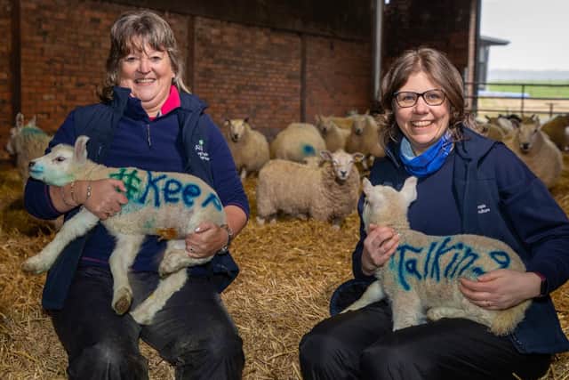 RSABI Trustee Carole Brunton pictured with RSABI Health Hut nurse Irene Scott and #KeepTalking lambing shed artwork. (Pic supplied by RSABI)