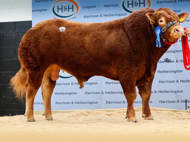 Haltcliffe Archer 45,000gns.