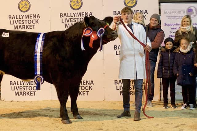 Ben Robinson, reserve supreme champion sponsored by NM Construction. Picture: Submitted