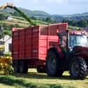 The inclusion of red clover within a  grass silage sward can boost both overall dry matter and protein yields - without the need for chemical nitrogen fertiliser.