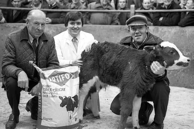 Pictured in January 1983 at the Allams show and sale of quality calves which was held at Newtownards is John Watt of Watt and McBriar, Saintfield, handing over a bag of Artifo milk replace to the owner of the reserve champion, Robert Bryan of Bangor. Looking on is auctioneer, Robert McKeown. Picture: Farming Life/News Letter archives