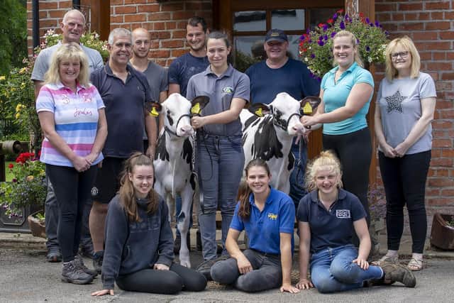 Riverdane Holstein’s tightknit team surrounds two of the star heifers to sell in the Theatre of Dreams sale at Cheshire on August 19. They are both granddaughters of the 2022 Supreme Champion of the World Dairy Expo (United States), Oakfield Solom Footloose EX96-2E. They are sired by Farnear Delta-Lambda and sell as lot 22 and lot 23. Photo: Jane Steel.