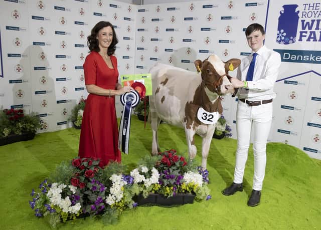 The Dairy Shorthorn Breed Junior Championship at the Winter Fair was won by Sunrise Shorthorns from Seaforde.  James Patton (handler) is presented with the award by Debbie Reid, Danske Bank
