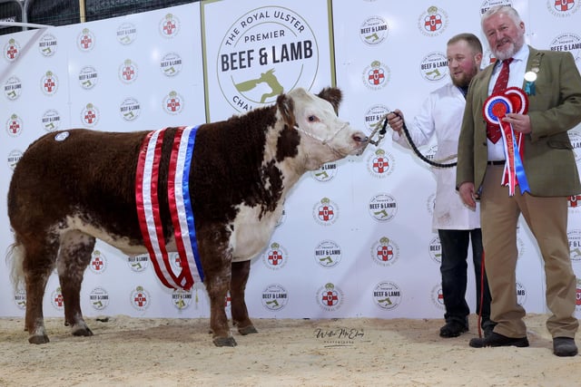 The Champion Hereford at the fifth Royal Ulster Beef & Lamb Championships was awarded to James Alexander from Randallstown. Pictured (L-R) Eamon McGarry and David Smith.
