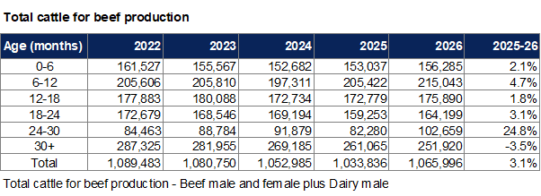 Total cattle for beef production