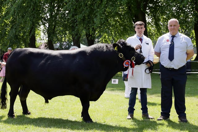 Ryan Lavery, from Aghalee, and judge Mark McConnell, with Mr Lavery's breed champion Dexter. Picture: Cliff Donaldson