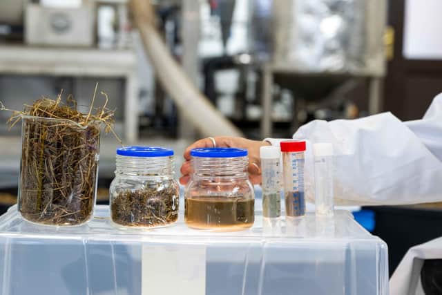 Munster Technological University (MTU) has launched a new pilot green biorefinery at its Kerry Campus, marking an important milestone in Ireland’s move towards sustainable agriculture and a circular bioeconomy. The facility will develop technologies that convert the country’s richest resource, which is its grasslands, into a range of valuable products including high quality animal feeds, human grade protein, prebiotics, flavours and bioenergy. Photo by: Domnick Walsh © Eye Focus Ltd.