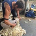 As in previous years, Ulster Wool is offering young farmers an opportunity to attend a beginner shearing course, enabling YFC members to work towards a Blue Seal award.