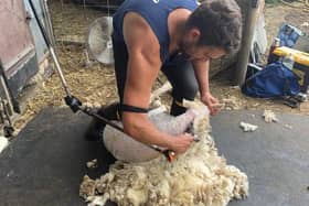 As in previous years, Ulster Wool is offering young farmers an opportunity to attend a beginner shearing course, enabling YFC members to work towards a Blue Seal award.