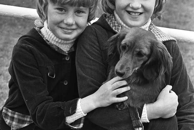 Pictured in June 1980 are 10-year-old Nicola, and eight-year-old Bronagh McKee of Ballymena, looking after Dillis the dog at the Ballymena Show. Picture: Farming Life/News Letter archives/Darryl Armitage