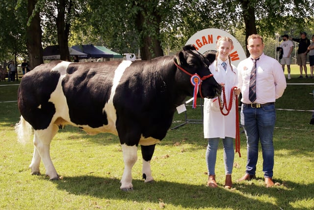 Grace Elwood, from Crossgar, and judge Sam Martin, with her British Blue breed champion at Lurgan Show.  Picture: Cliff Donaldson