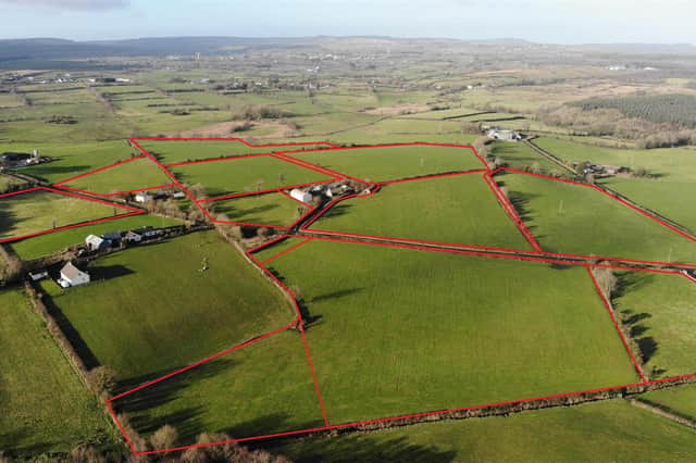 This superb holding on the Gorran Road, Garvagh, is located in a good farming district with easy access to the main Coleraine to Garvagh road. Image: Bensons
