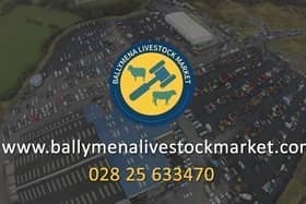Ballymena Livestock Market