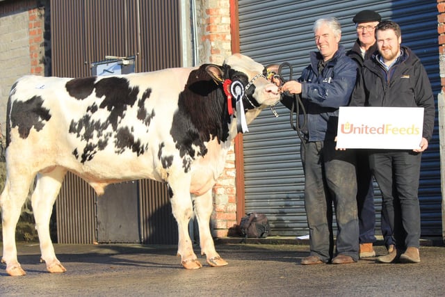 Stuart Smith exhibited the supreme champion Prehen Adare Red PLI £597. Included are judge David Perry, and sponsor Peter Speir, United Feeds. 