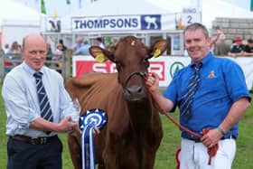 The Thompsons Ayrshire Heifer Derby winner at Balmoral Show was Denamona Pulsar Lily owned by Alan Irwin, Fintona who is pictured receiving a presentation from James Black, Thompsons, sponsors. Photograph: Columba O’Hare/ Newry.ie