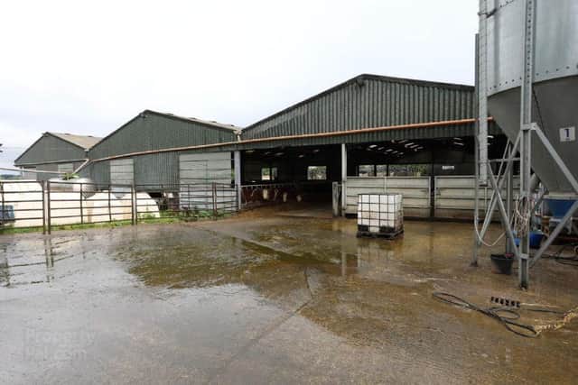 Carnany Farm is available as a whole for £4,000,000 or in lots. Image: H.A. McIlrath and Sons