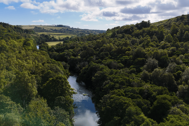 River Coquet