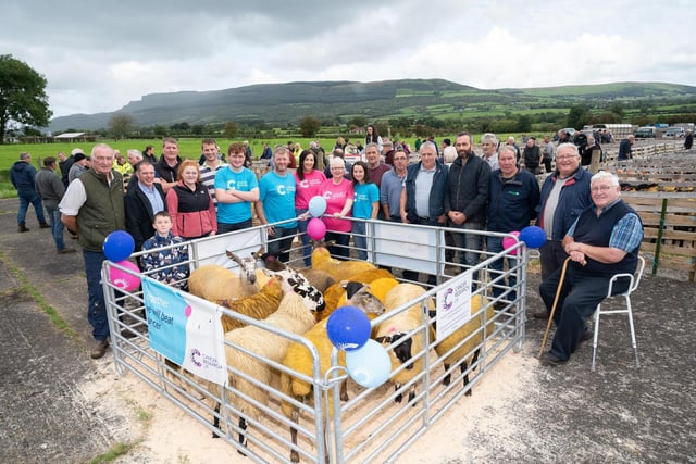 Farmers who donated sheep for sale for Cancer Research UK with charity representatives at the Alexander Gourley open air sheep show and sale at Aghanloo on Tuesday morning. Photo Clive Wasson