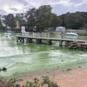 Lough Neagh pollution