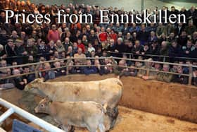 Enniskillen Mart