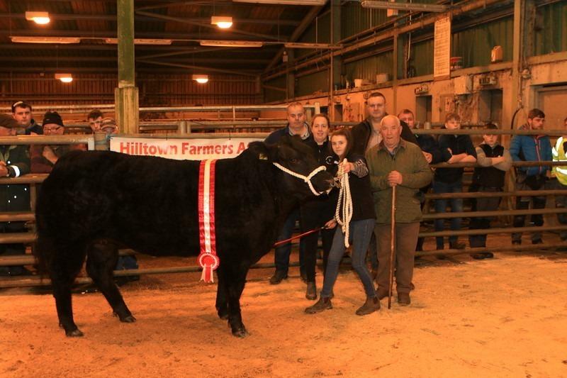 First breeding heifer class exhibited by Jade Tumilty, left to right Keith Tumilty, sponsor Alise Callaghan (NI Commercial Cattle Club), Jade Tumilty, Ivan Lynn (judge) and John Farnon (mart manager). Picture: Submitted