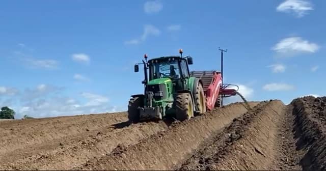 This video shows AB Potatoes working in the fields at Glasker last week. Picture Kenneth Brown