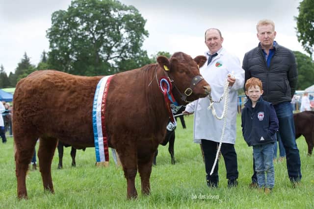 Carrick View Utah which was Reserve Overall Champion at Armagh Show