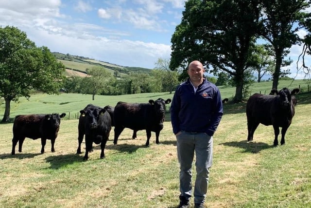 Angus Matt Rory Loughans Aberdeen Angus online bull sale