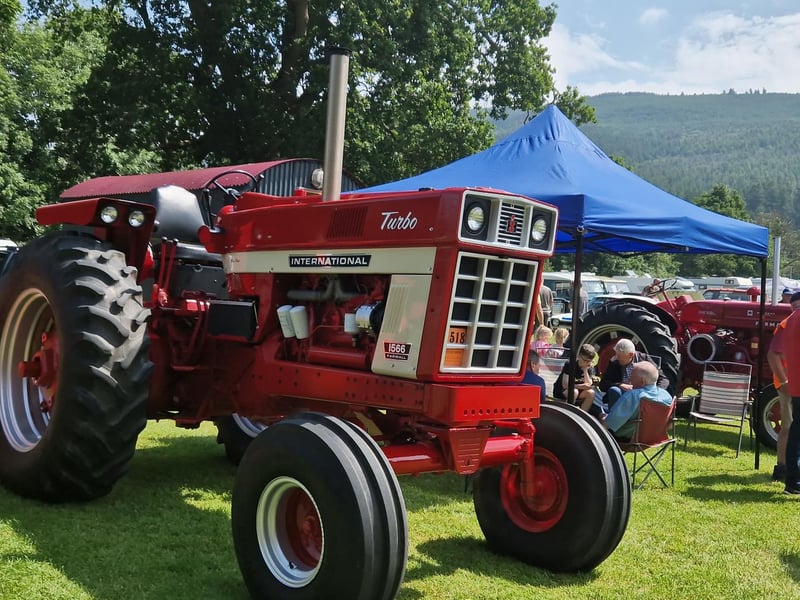 One of the vehicles at this year's Kilbroney Vintage Show which was held at Kilbroney Forest Park, Rostrevor. Picture: Darryl Armitage