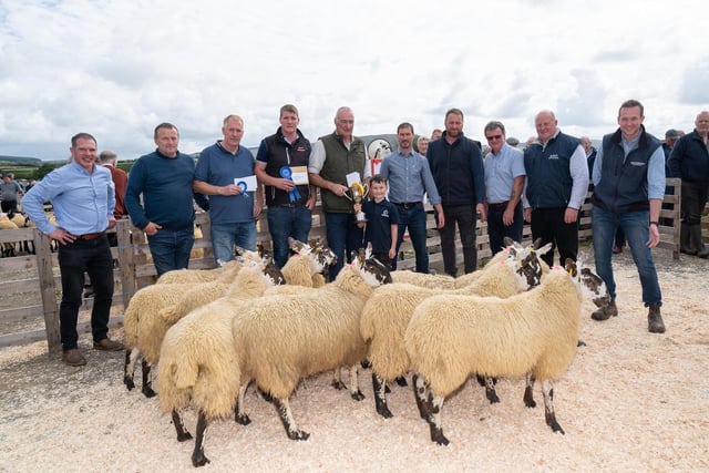 Arnold Douglas and Sam Douglas with the Champion and third place grey face pen, with Eoghan Lagan and Eugene Lagan, 2nd place pen, judge Alwyn McFarland and sponsors at the Alexander Gourley open air sheep show and sale at Aghanloo on Tuesday morning. Photo Clive Wasson