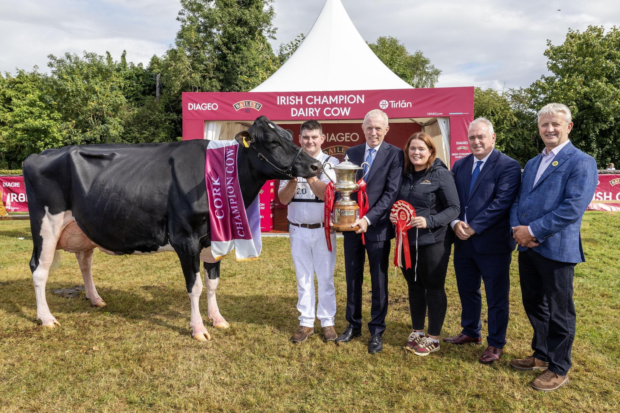 Pictured at the 2026 Diageo Baileys Champion Cow competition are Overall winners Paul Murphy and Emma Behan from Banteer Co Cork with their champion cow 'Coolroehouse Abbott Ann', pictured along side, Minister of State at the Dept of Agriculture, Timmy Dooley, Robert Murphy – Category Head, Baileys and Ger O'Brien, Tirlán Chairperson. Picture:  Finbarr O'Rourke