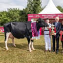 Pictured at the 2026 Diageo Baileys Champion Cow competition are Overall winners Paul Murphy and Emma Behan from Banteer Co Cork with their champion cow 'Coolroehouse Abbott Ann', pictured along side, Minister of State at the Dept of Agriculture, Timmy Dooley, Robert Murphy – Category Head, Baileys and Ger O'Brien, Tirlán Chairperson. Picture:  Finbarr O'Rourke